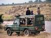 Mara Serena Safari Lodge - Game Drive 